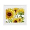 Stupell Industries Peeking Sunflower Blooms Framed Print Under Glass, design by Kim Allen
